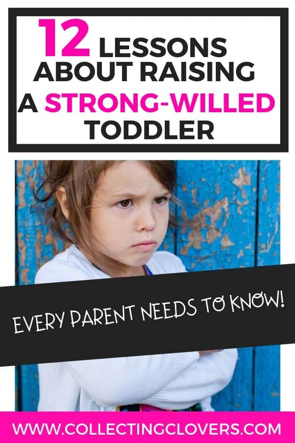 raising a strong willed toddler pin